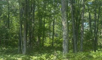 BENNETT Road 6, Amberg, WI 54102
