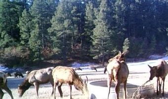 28111 County Rd 41.4, Aguilar, CO 81020