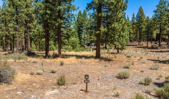 234 Redding Way, Carson City, NV 89705