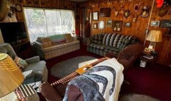 6002 Wildwood, Alger, MI 48610