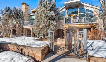 990 E Hopkins Ave, Aspen, CO 81611