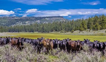 Fishhole Creek Road, Bly, OR 97622