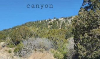 4 Canyon Rd, Timberon, NM 88350