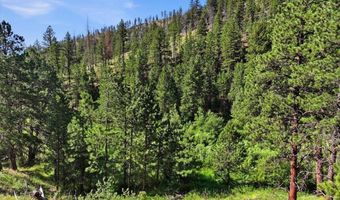 Spiritwood Ln, Bellvue, CO 80512