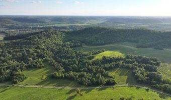 TBD Bear Pen Rd, Arkansaw, WI 54721