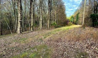 1361 Walkers Chapel Rd, Adolphus, KY 42120