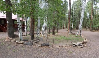 38 CR 2266, Alpine, AZ 85920