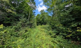 33 Acres Off Net Riv, Amasa, MI 49903