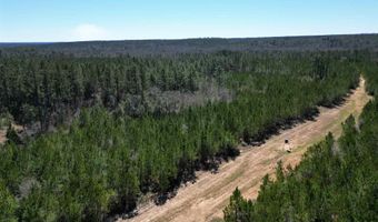 Robinsonville Rd, Atmore, AL 36502