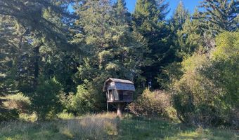 Bill Creek Ln, Bandon, OR 97411