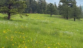 387 OLD CAMP Rd, Bellvue, CO 80512