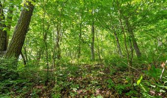 W9204 Big Coulee Road, Arkansaw, WI 54721