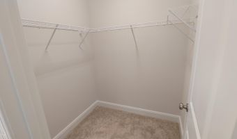 831 Amley Pl, Apex, NC 27523