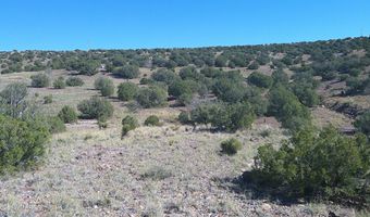 41 Indian Dr, Concho, AZ 85924
