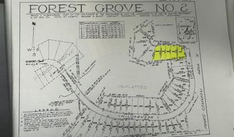 VL Pineview Court, Alger, MI 48610