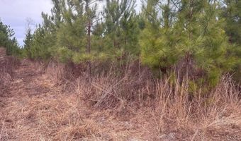 Qbf 12 Nurnberg Dr Road Qbf 12, Batesburg Leesville, SC 29070