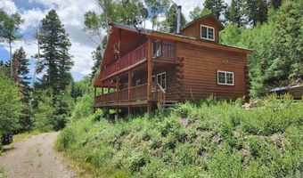 1407 Clarke Mountain Ln, Antonito, CO 81120