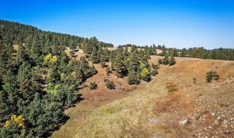 Tract 8 Lone Elk Ranch, Alva, WY 82711