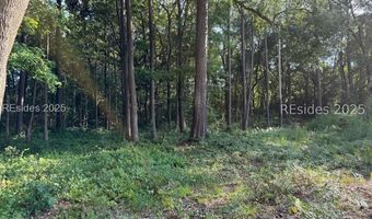 23 Joe Frazier Rd, Beaufort, SC 29906