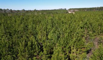 Lot 4 Robinsonville Road, Atmore, AL 36502