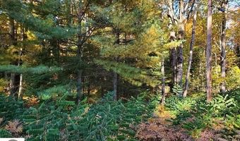0 Scenic River Dr, Alger, MI 48610