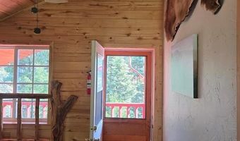 1407 Clarke Mountain Ln, Antonito, CO 81120