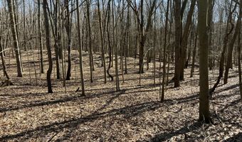 5725 Whitneyville Ave SE, Alto, MI 49302