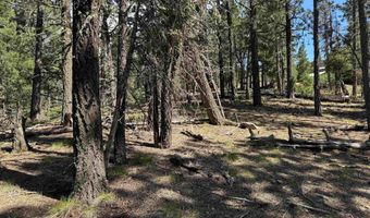 El Vado Way lot 1662, Angel Fire, NM 87710