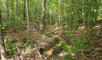 1408 Coleman Mountain Rd, Appomattox, VA 24522