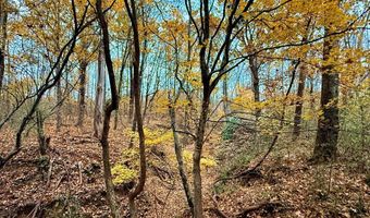 HWY 9, Bruce, MS 38915