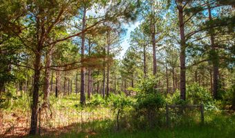 7175 BILL DORN Rd, Appling, GA 30802