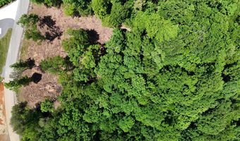 Lot 45 Bayside Boulevard, Bean Station, TN 37708