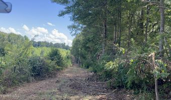 001 Farr Rd, Bolton, MS 39041