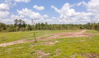 R53358 Tract 3 HWY 94, Apple Springs, TX 75926