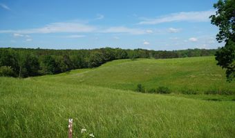 339 MCNUTT Rd, Bear Creek, AL 35543