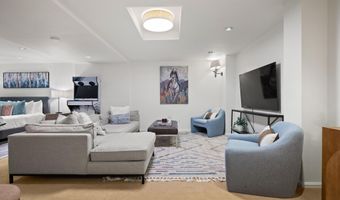 650 S Monarch St Unit 11, Aspen, CO 81611