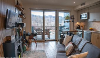22860 Two Rivers Road 274, Basalt, CO 81621