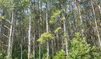 County Road 6381, Baldwyn, MS 38824