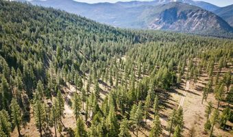 13902 Highland Trl, Alberton, MT 59820