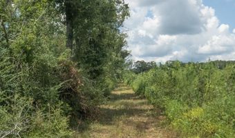 00 Ebenzer Church Rd, Bassfield, MS 39421