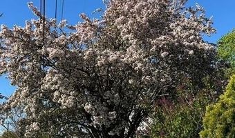 316 Waseca Ave, Barrington, RI 02806