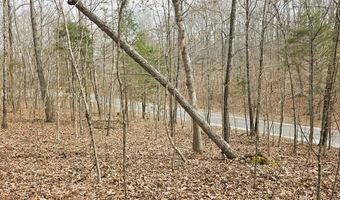 Midfield Dr, Big Sandy, TN 38221