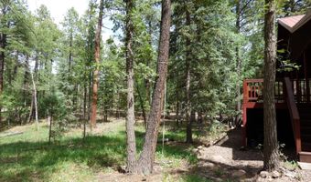 38 CR 2266, Alpine, AZ 85920