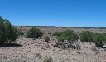Tbd Rio Ranch, Concho, AZ 85924