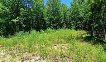 0000000 Easement, Annapolis, MO 63620