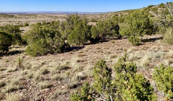 Tbd Co Rd 5062 Lot 1 3.53 Acres, Concho, AZ 85924