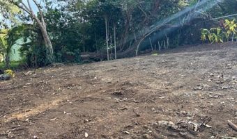 2599 Ala Olu Pl unit C, Haiku, HI 96708