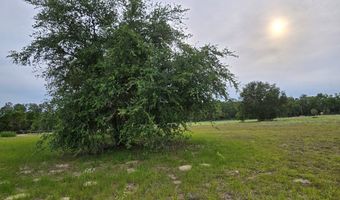 000 15th St, Bell, FL 32619