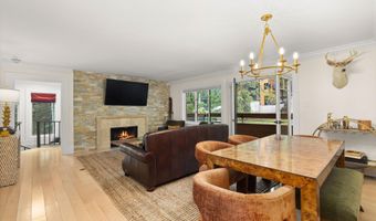747 S Galena St 230 & 330, Aspen, CO 81611