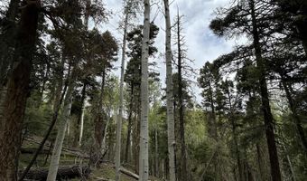 Lot 1419 Sacramento, Angel Fire, NM 87710